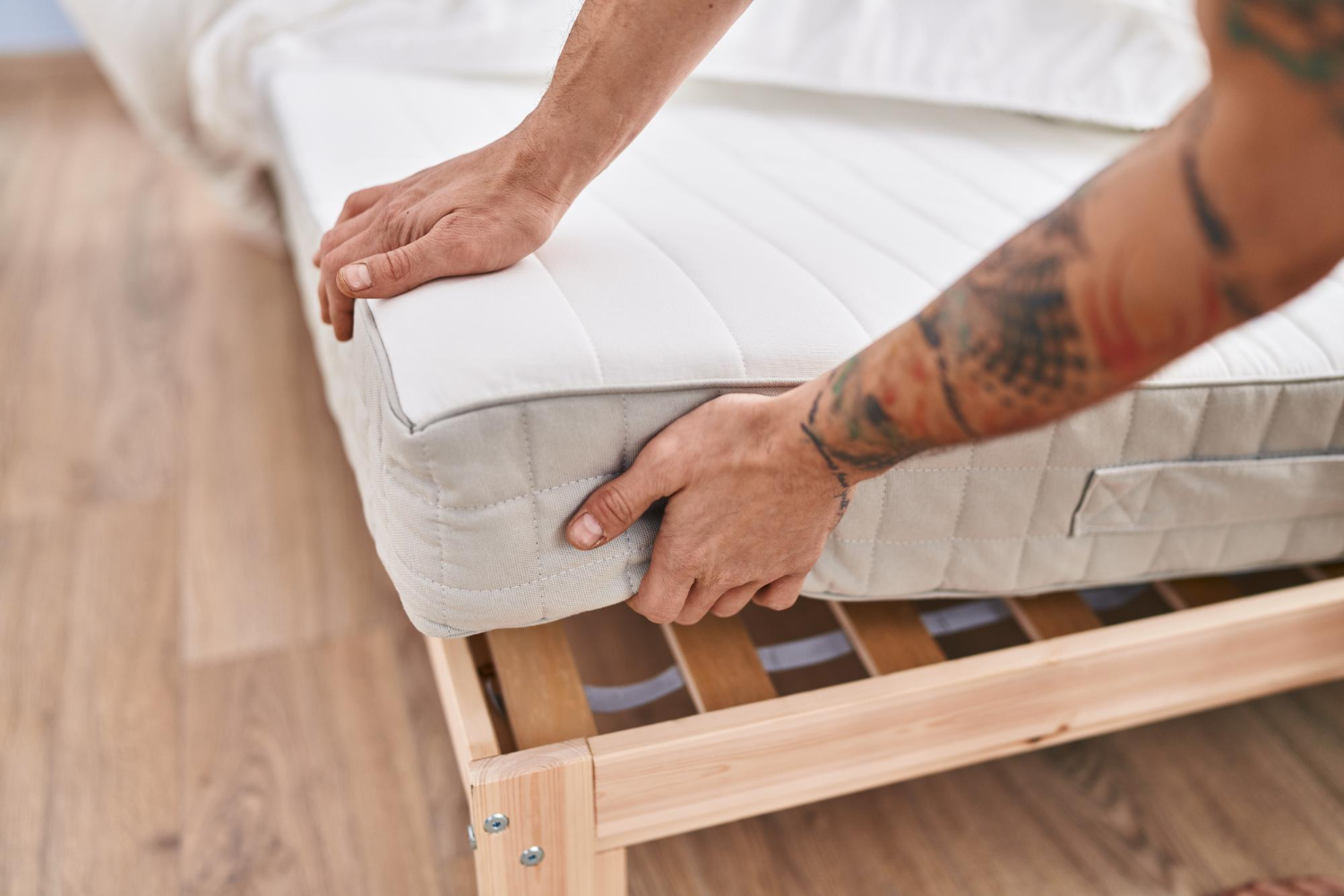 La Guerre Contre les Punaises de Lit : Stratégies d'Intervention pour une Elimination Efficace